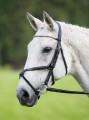 Aviemore Diamante Grackle Bridle